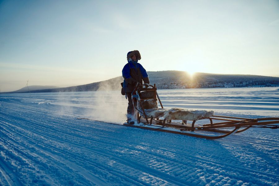 Hundeschlittenführer fährt im Sonnenuntergang über schneebedeckte Ebene in Lappland